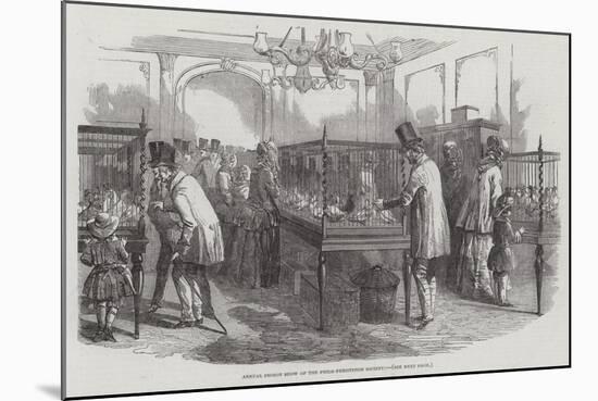 Annual Pigeon Show of the Philo-Peristeron Society-null-Mounted Giclee Print