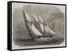 Annual Schooner Race of the Royal Thames Yacht Club, the Yachts at the Mouse Light Ship-Edwin Weedon-Framed Stretched Canvas