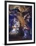 Annunciation, by Pietro Da Cortona-null-Framed Giclee Print