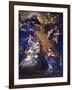 Annunciation, by Pietro Da Cortona-null-Framed Giclee Print