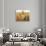 Annunciation-Simone Martini-Giclee Print displayed on a wall