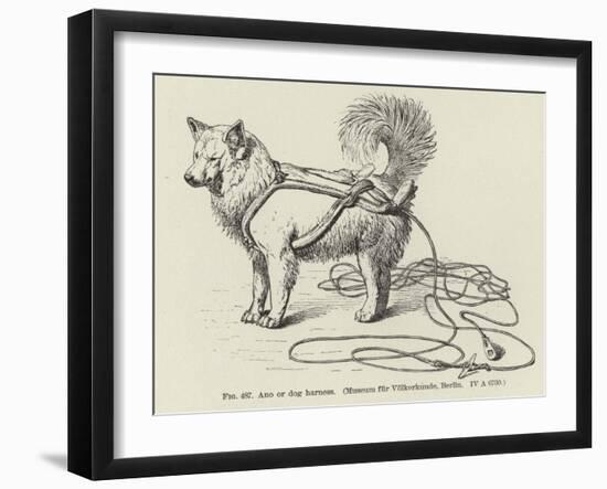 Ano or Dog Harness-null-Framed Giclee Print