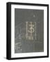 Anodised Aluminium Punch Mark 3 III-Piero De Vecchi-Framed Giclee Print