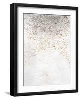 Anodized III-Vanna Lam-Framed Art Print