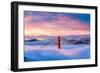 Anomaly-Dave Gordon-Framed Photographic Print