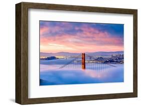 Anomaly-Dave Gordon-Framed Photographic Print