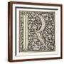 Brown Frame