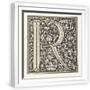 White Frame