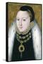 Anonymous Portrait of Queen Elizabeth I-null-Framed Stretched Canvas