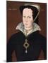 Anonymous Portrait of Queen Mary I-null-Mounted Giclee Print