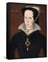 Anonymous Portrait of Queen Mary I-null-Framed Stretched Canvas