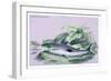 Anopus Notatus-Robert Hermann Schomburgk-Framed Premium Giclee Print