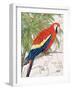 Another Bird in Paradise I-Julie DeRice-Framed Art Print