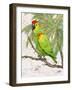 Another Bird in Paradise II-Julie DeRice-Framed Premium Giclee Print