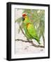 Another Bird in Paradise II-Julie DeRice-Framed Premium Giclee Print