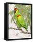 Another Bird in Paradise II-Julie DeRice-Framed Stretched Canvas