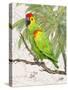 Another Bird in Paradise II-Julie DeRice-Stretched Canvas