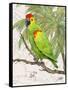 Another Bird in Paradise II-Julie DeRice-Framed Stretched Canvas