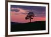 Another Day Passing-Doug Chinnery-Framed Photographic Print