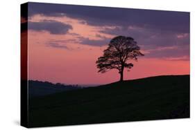 Another Day Passing-Doug Chinnery-Stretched Canvas