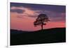 Another Day Passing-Doug Chinnery-Framed Photographic Print