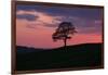 Another Day Passing-Doug Chinnery-Framed Photographic Print