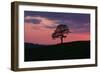 Another Day Passing-Doug Chinnery-Framed Photographic Print