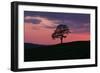 Another Day Passing-Doug Chinnery-Framed Photographic Print