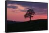 Another Day Passing-Doug Chinnery-Framed Stretched Canvas