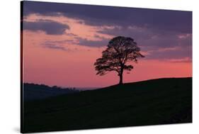 Another Day Passing-Doug Chinnery-Stretched Canvas