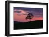 Another Day Passing-Doug Chinnery-Framed Photographic Print