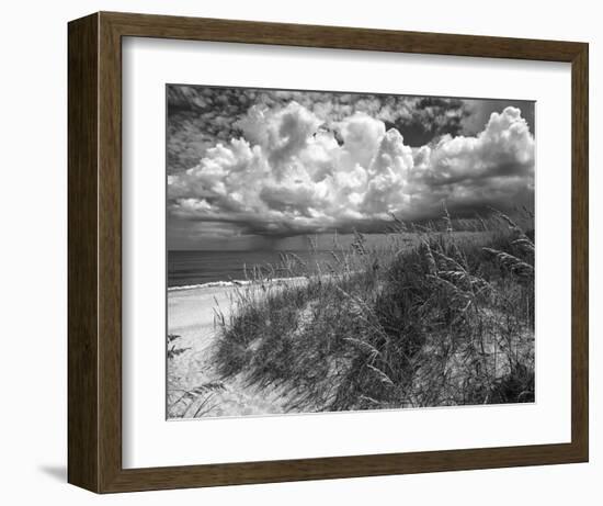 Another Glorius Day-Eve Turek-Framed Art Print