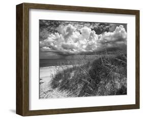 Another Glorius Day-Eve Turek-Framed Art Print