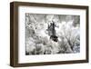 Another Look at Paris-Philippe Hugonnard-Framed Photographic Print