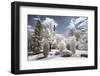 Another Look at Paris-Philippe Hugonnard-Framed Photographic Print