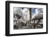 Another Look at Paris-Philippe Hugonnard-Framed Photographic Print