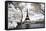 Another Look at Paris-Philippe Hugonnard-Framed Stretched Canvas