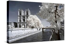 Another Look at Paris-Philippe Hugonnard-Stretched Canvas