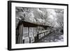 Another Look at Paris-Philippe Hugonnard-Framed Photographic Print