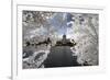 Another Look at Paris-Philippe Hugonnard-Framed Photographic Print