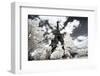 Another Look at Paris-Philippe Hugonnard-Framed Photographic Print