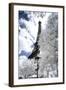 Another Look at Paris-Philippe Hugonnard-Framed Photographic Print