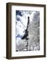 Another Look at Paris-Philippe Hugonnard-Framed Photographic Print