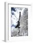 Another Look at Paris-Philippe Hugonnard-Framed Photographic Print