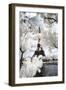 Another Look at Paris-Philippe Hugonnard-Framed Photographic Print