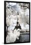 Another Look at Paris-Philippe Hugonnard-Framed Photographic Print