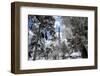 Another Look at Paris-Philippe Hugonnard-Framed Photographic Print