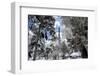 Another Look at Paris-Philippe Hugonnard-Framed Photographic Print