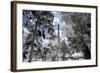 Another Look at Paris-Philippe Hugonnard-Framed Photographic Print