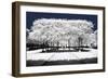 Another Look - Paris-Philippe Hugonnard-Framed Photographic Print